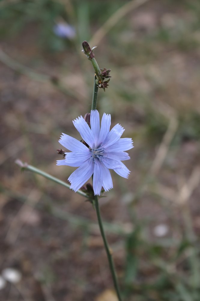 Photograph by Евгений Беленков