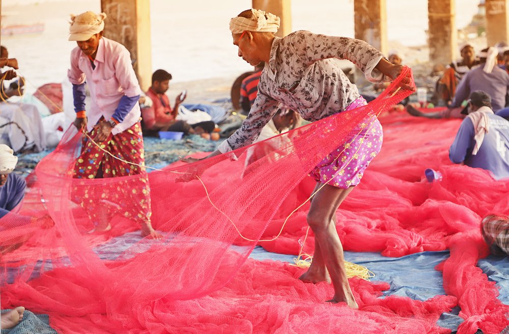 Фотография автора Anil Prabhakar