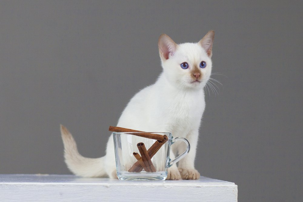 Photograph by Анна Сидоренко