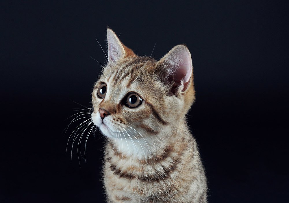 Photograph by Мельничук Евгений