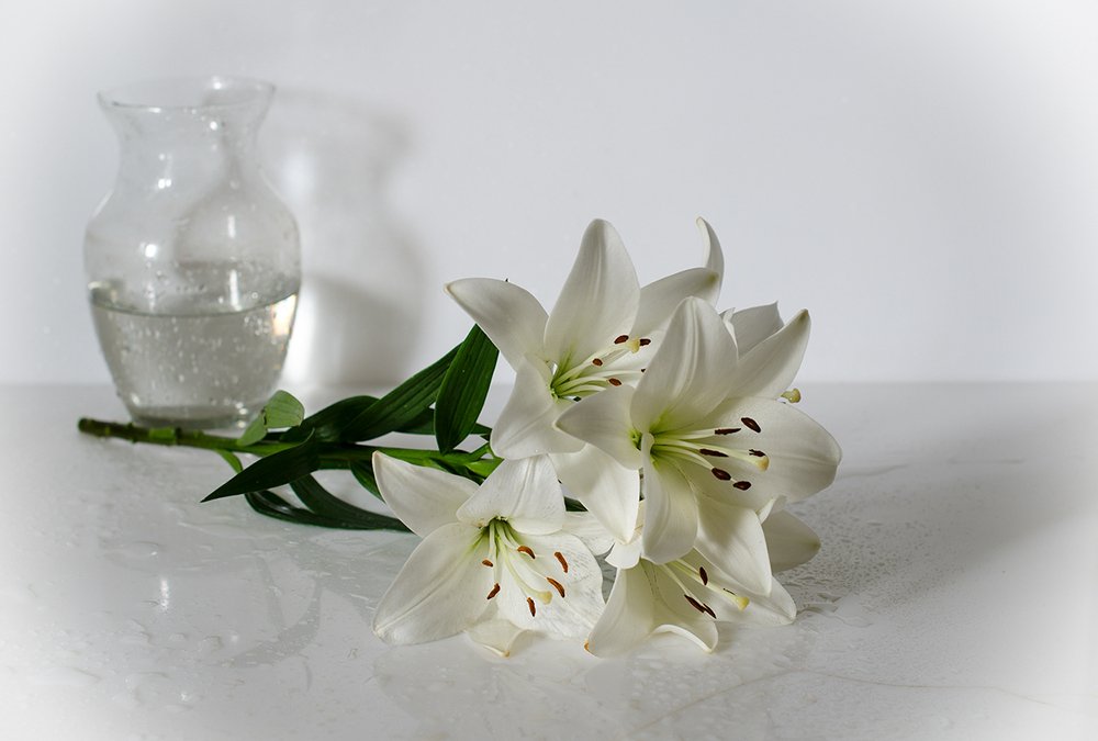 Белые лилии