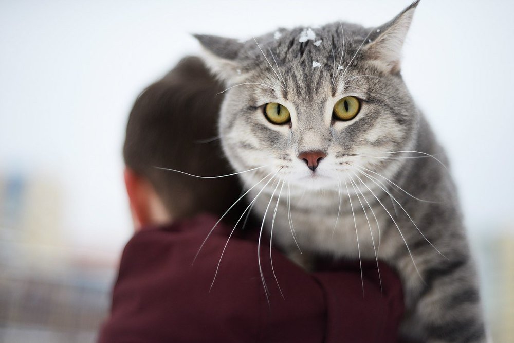 Photograph by Мельничук Евгений