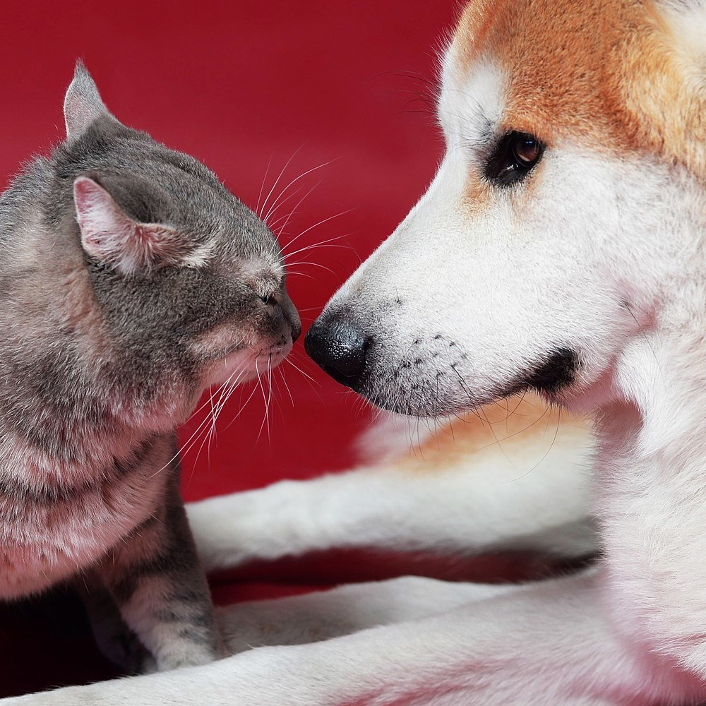 Photograph by Мельничук Евгений