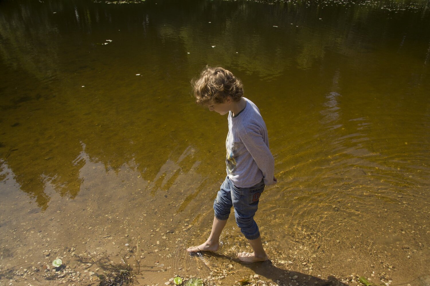 Photo #3569833