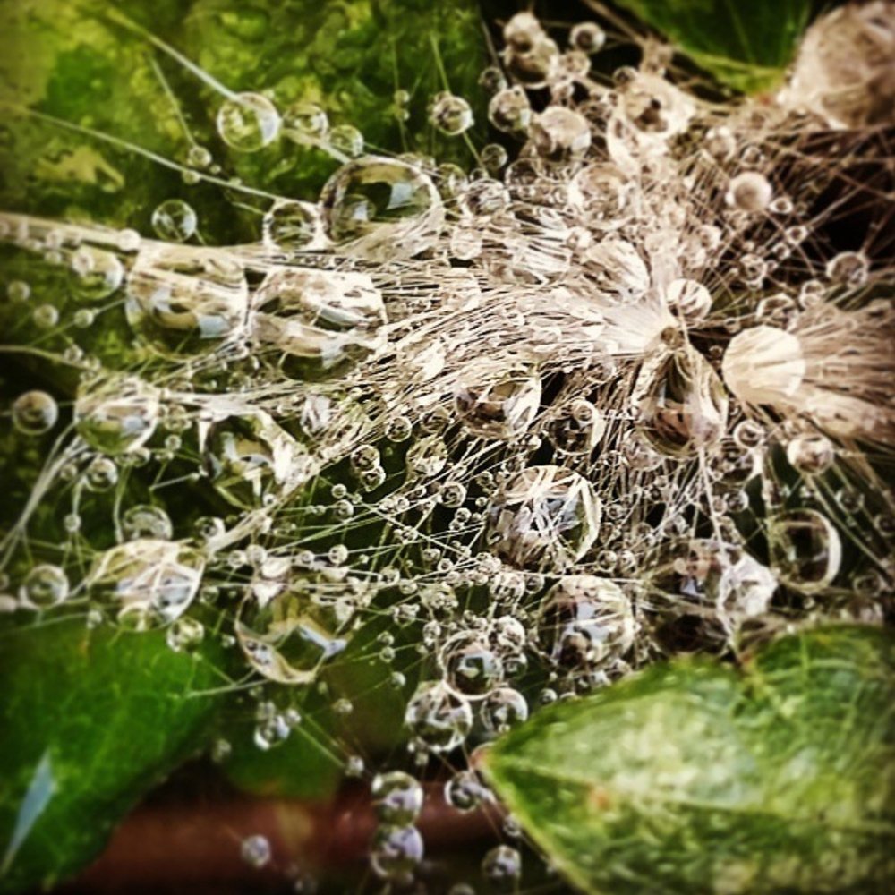 Photograph by William Rafael