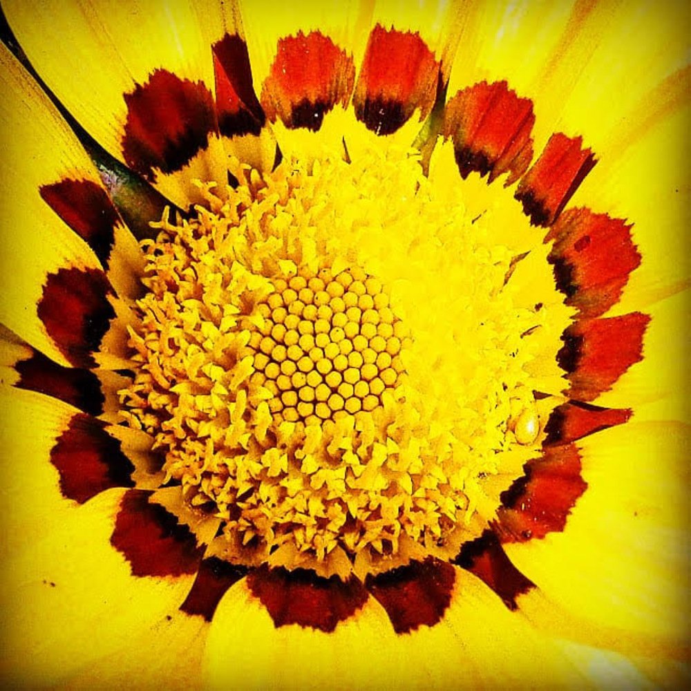 Фотография автора Иван Вдовин