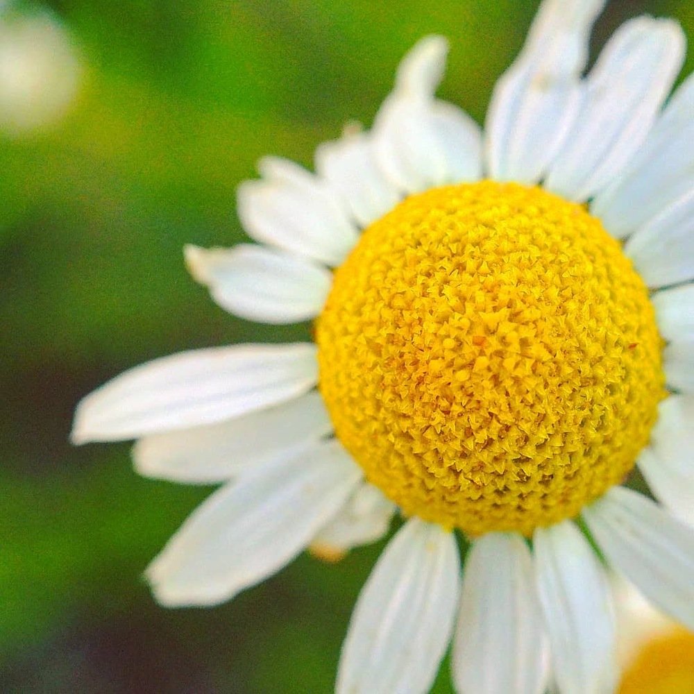 Фотография автора Иван Вдовин
