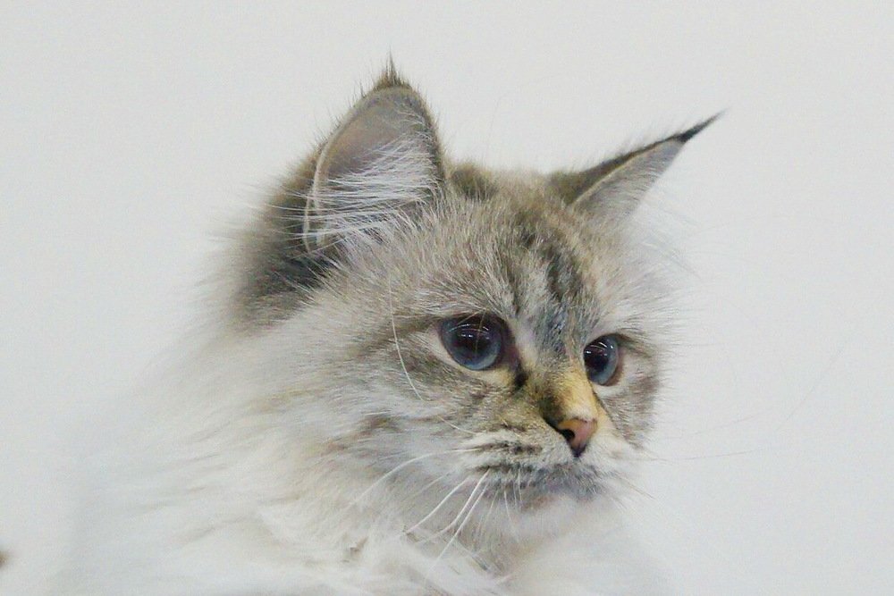 Photograph by Ольга Воронова