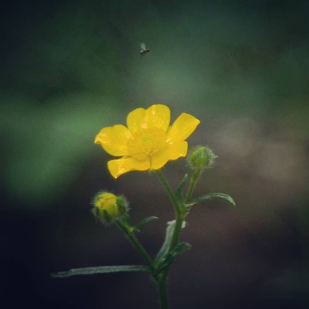 Фотография автора Иван Вдовин
