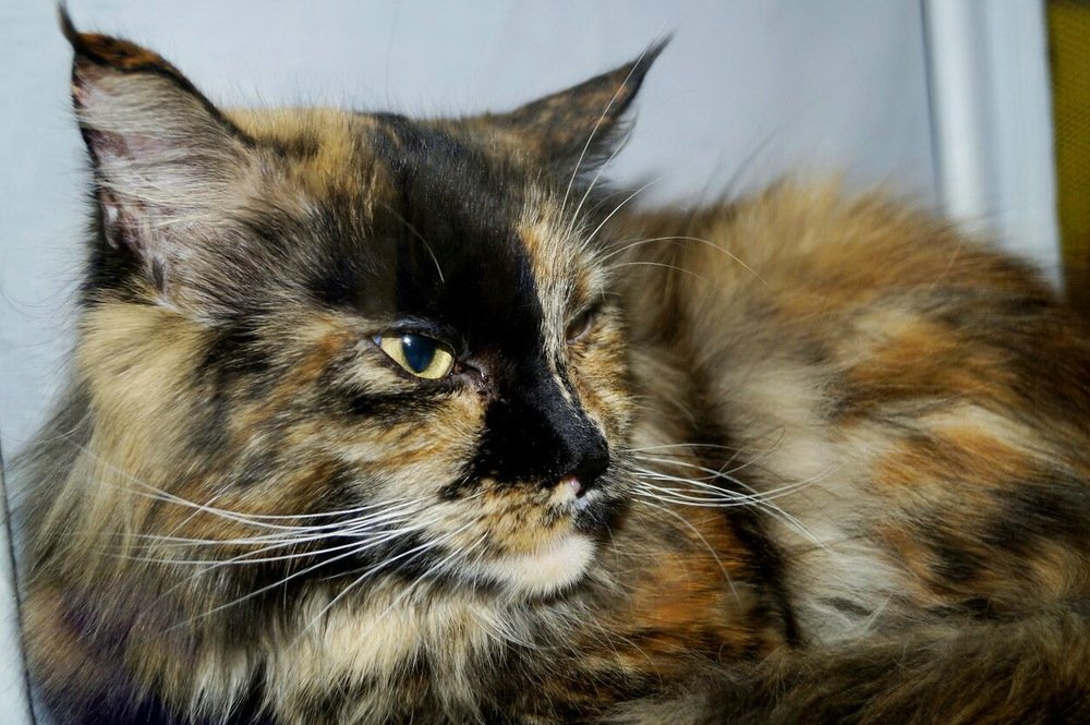 Photograph by Ольга Воронова