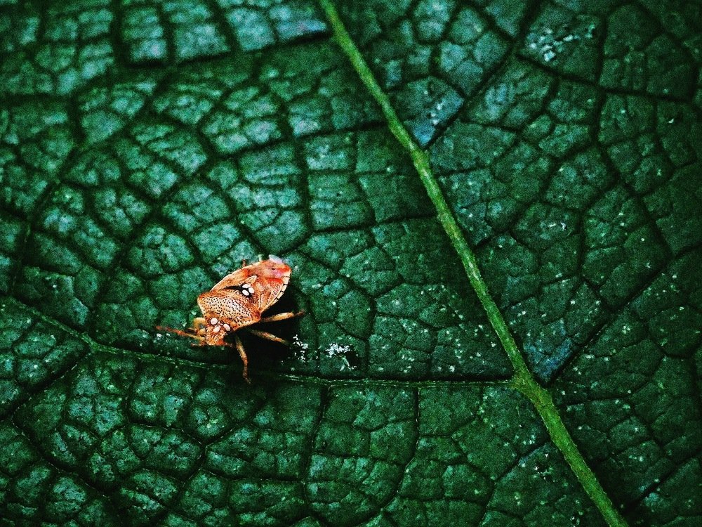 Фотография автора Иван Вдовин