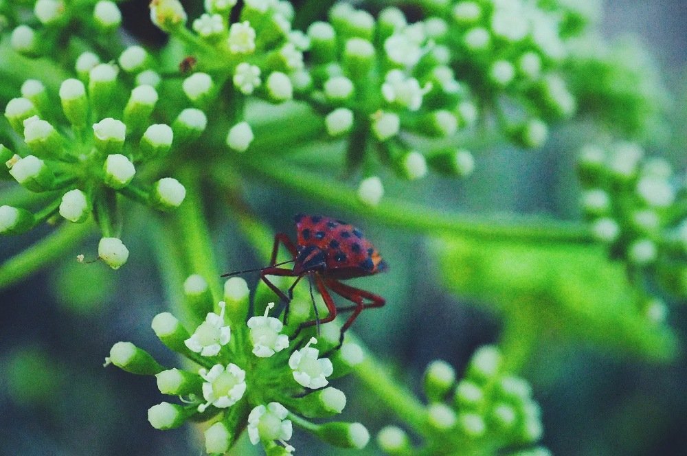 Фотография автора Иван Вдовин