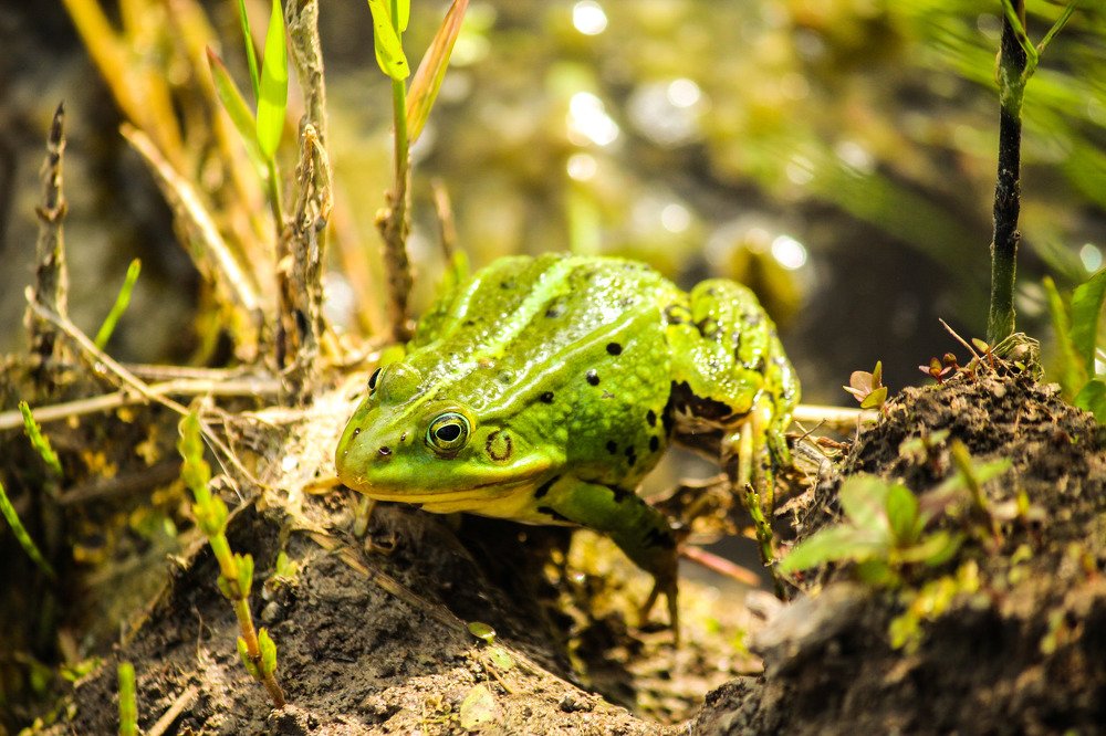 Photograph by Елена Верховская