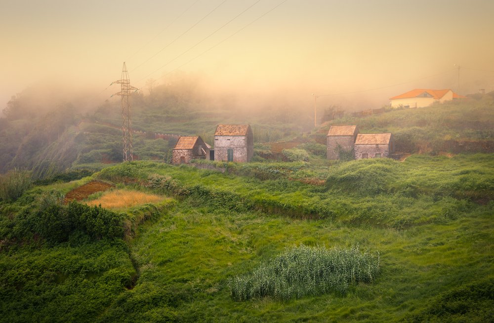 Похоже, тут живут хоббиты