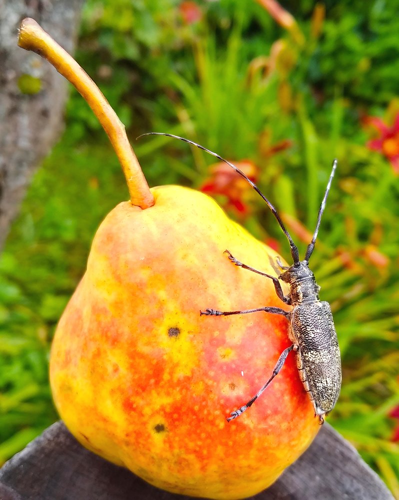 Такая любовь...