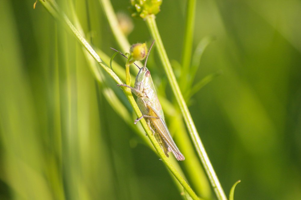 Photograph by Елена Верховская