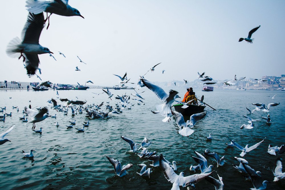 Photograph by Prince Kumar