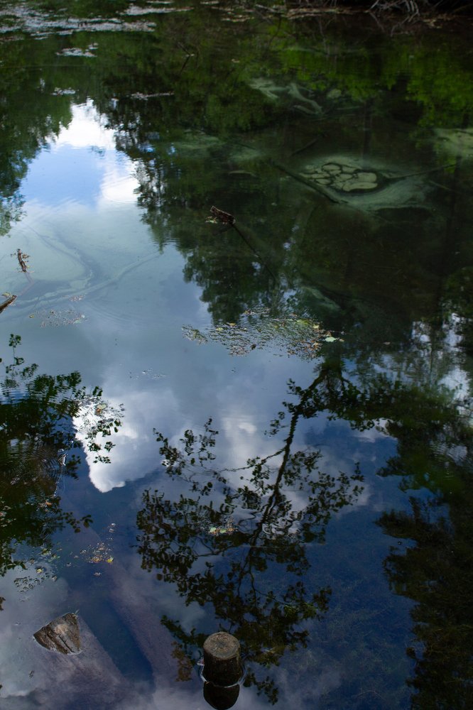 Photograph by Nadezda Sarap