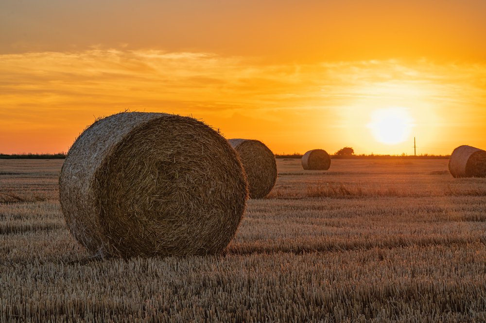 Фотография автора Igor Kovalenko