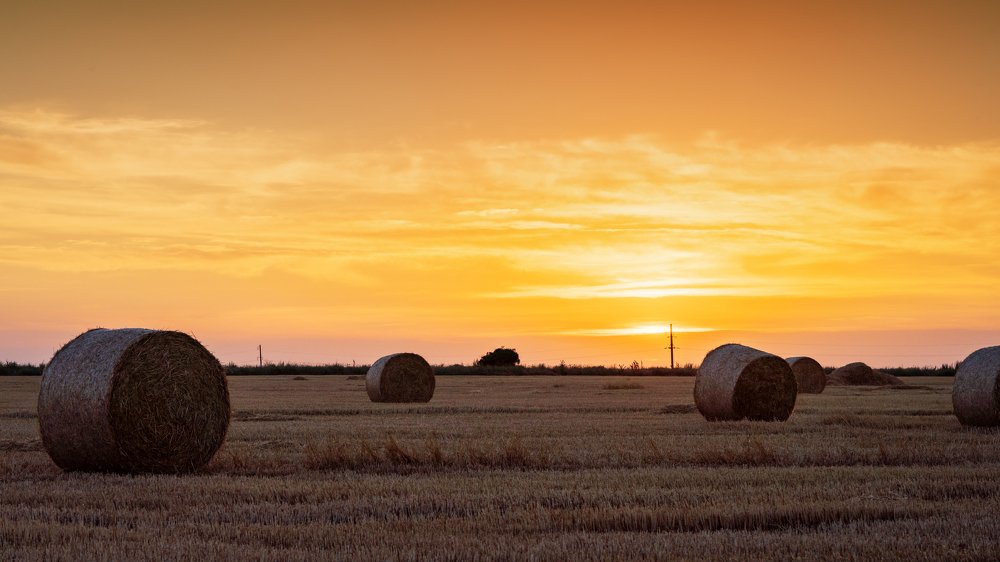 Фотография автора Igor Kovalenko