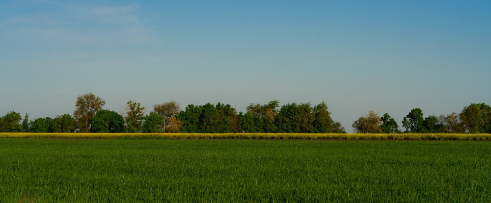 Фотография автора Igor Kovalenko