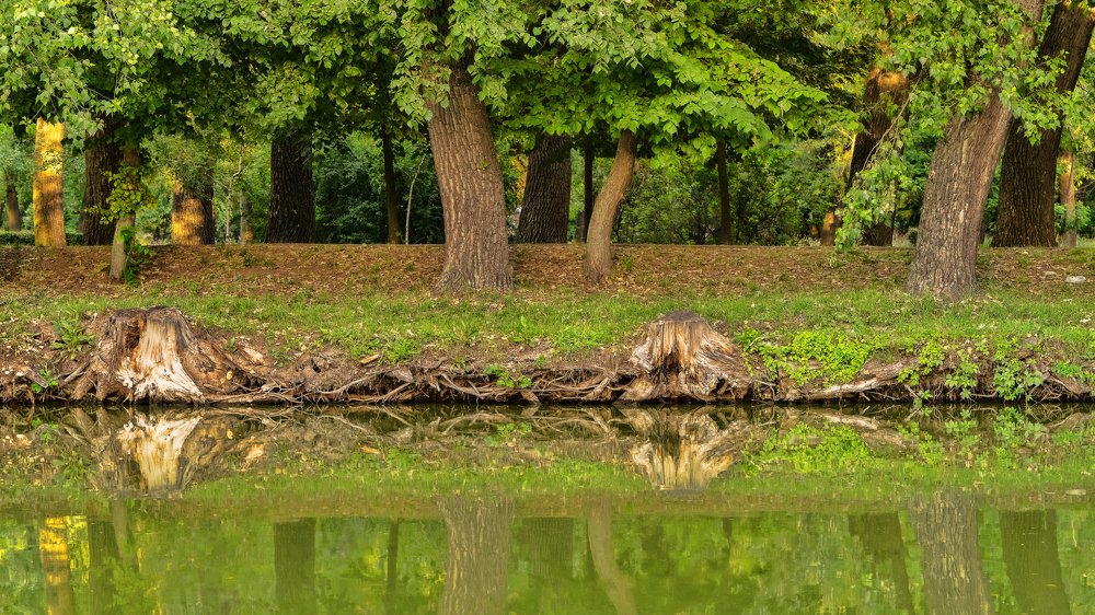 Фотография автора Igor Kovalenko