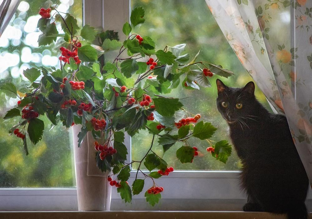 Photograph by Елена Черненко