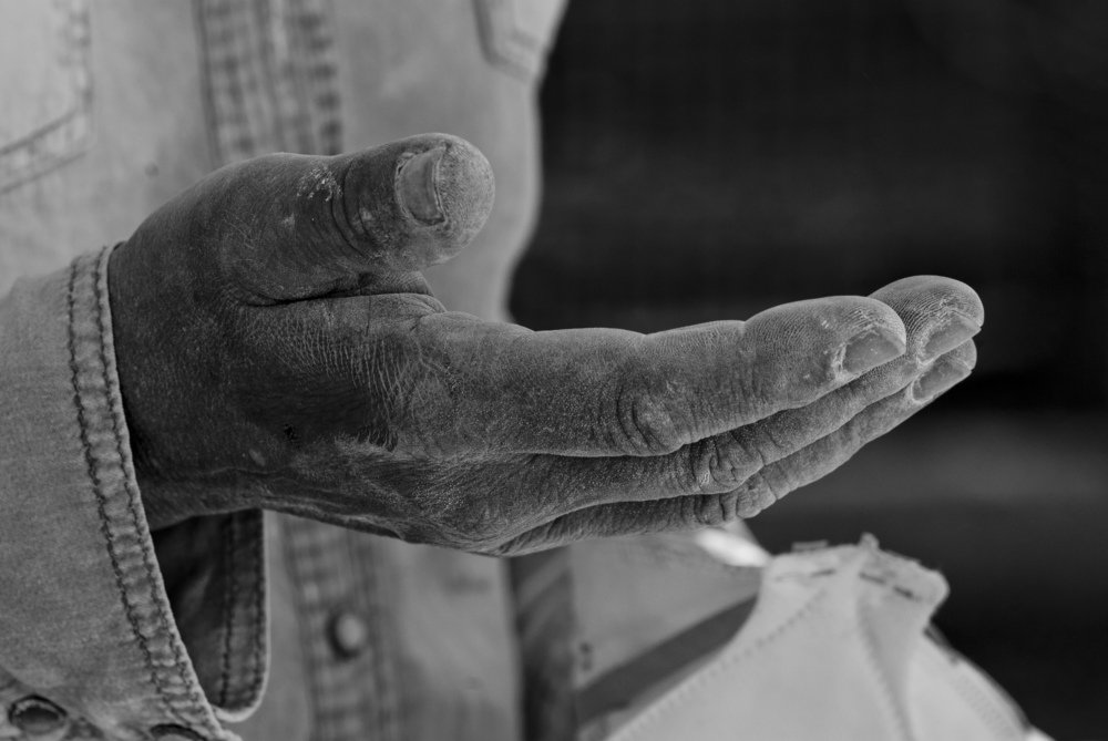 Photograph by Alex Tabak