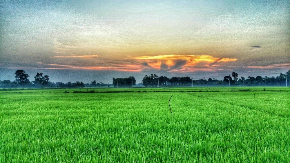 Photograph by Md. Rasaduzaman