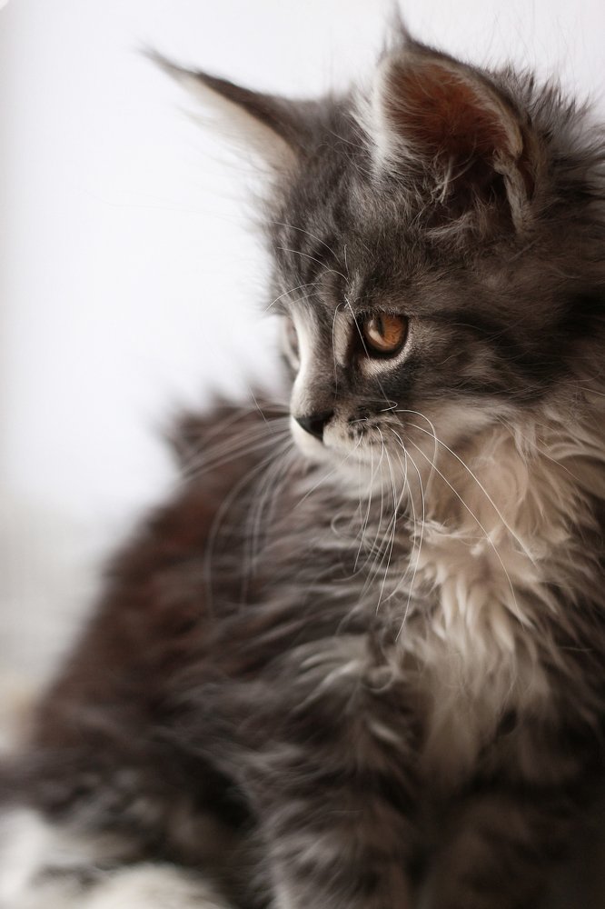 Photograph by Анастасия Мещерякова