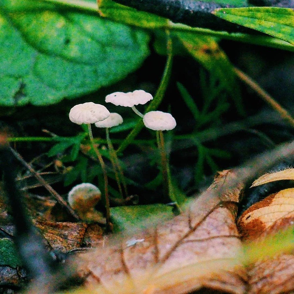 Фотография автора Иван Вдовин