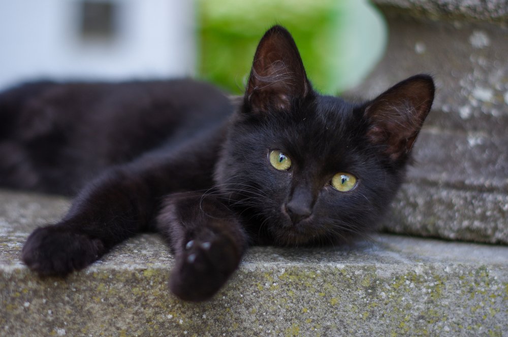 Photograph by Nadezda Sarap