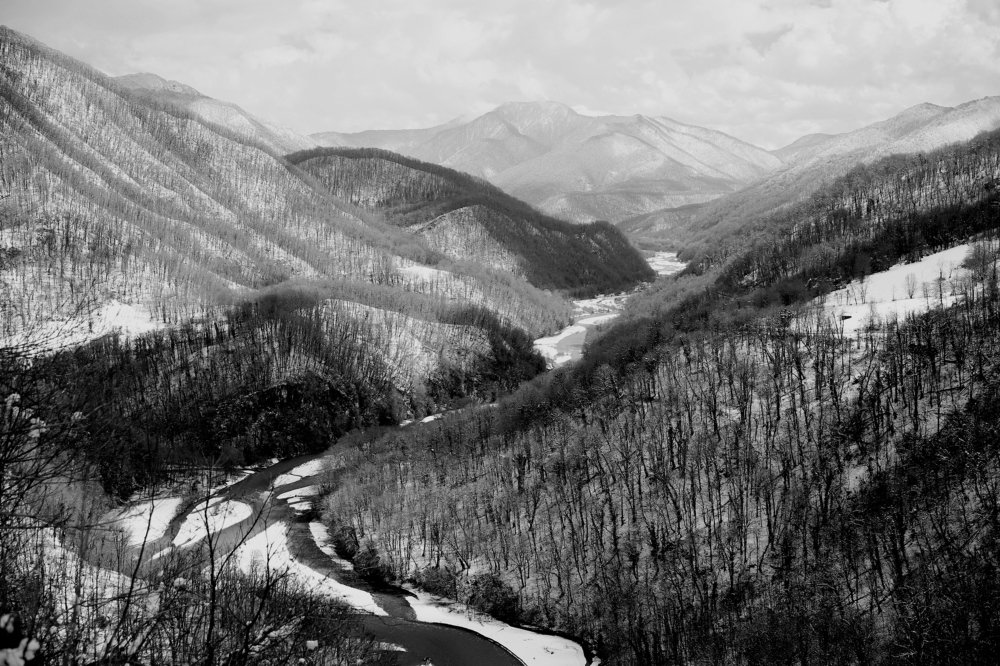 Весна идет...