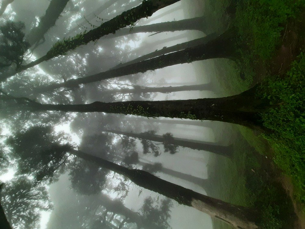 Photograph by Diganto Ghosh