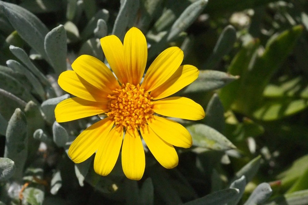 Фотография автора Иван Вдовин