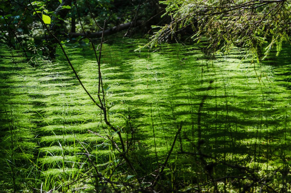Фотография автора Юрий Цыркунов