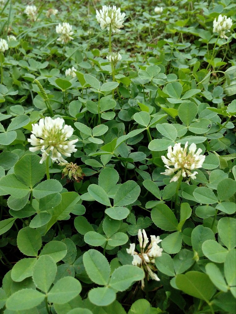 Photograph by Ирина Марченко