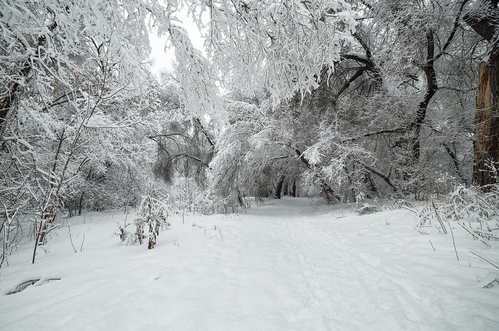 Photograph by Юрий Лисовой