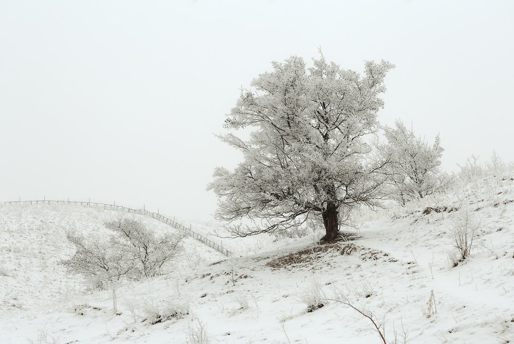 Photograph by Юрий Лисовой