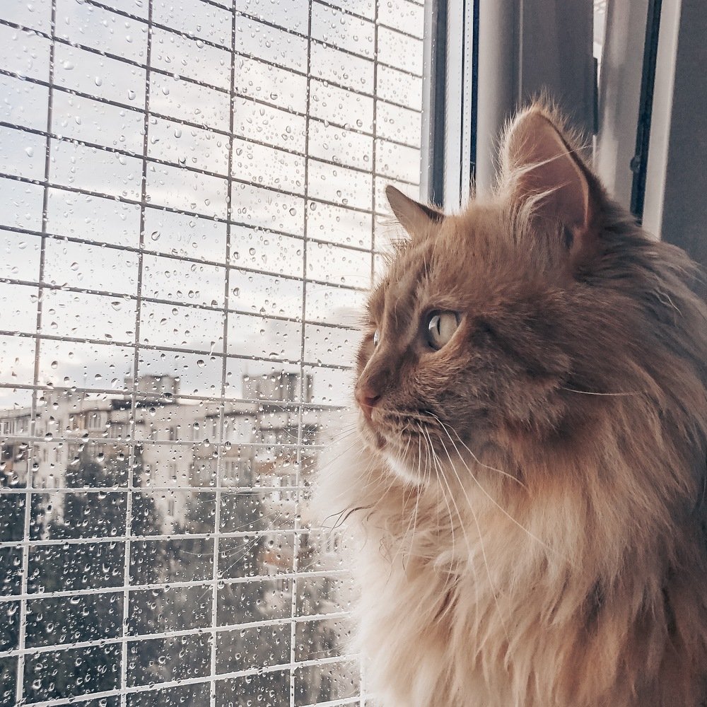 Photograph by Инна Макарова