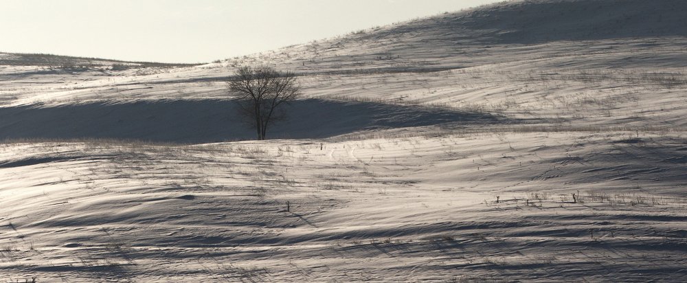 Photograph by Юрий Лисовой
