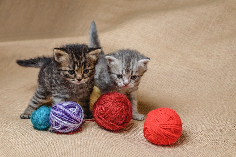 Photograph by Неустроев Олег