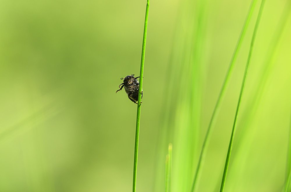 Photograph by Юрий Лисовой