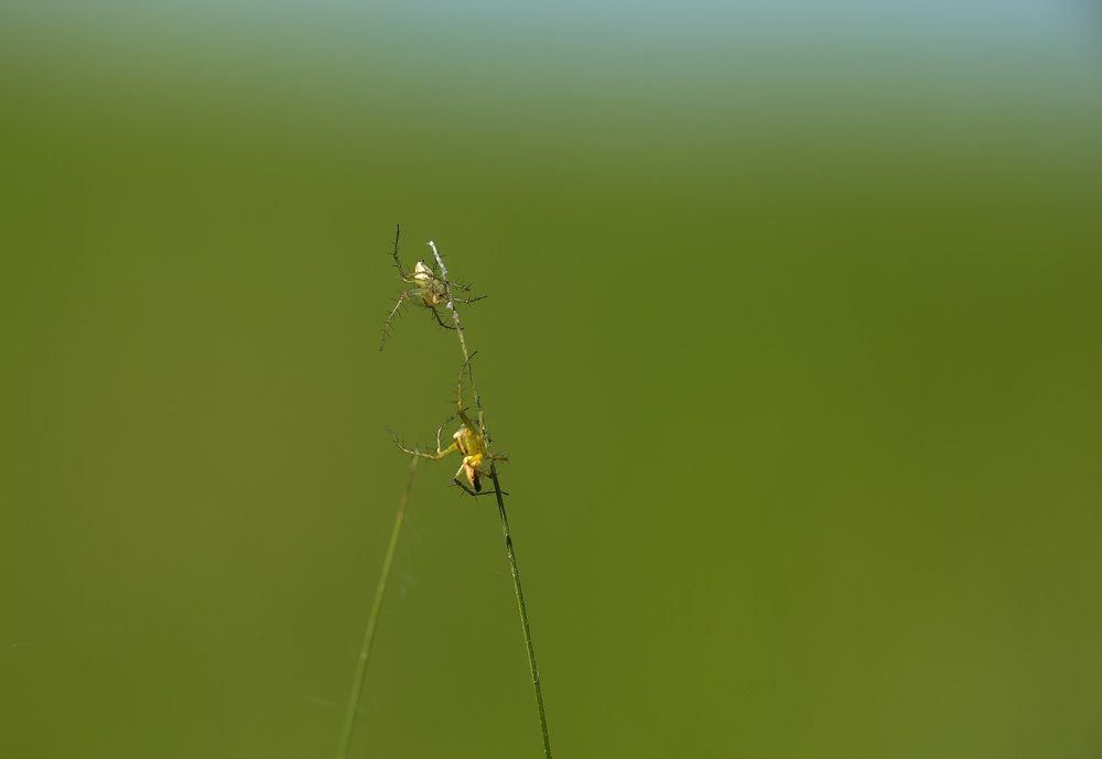 Photograph by Юрий Лисовой