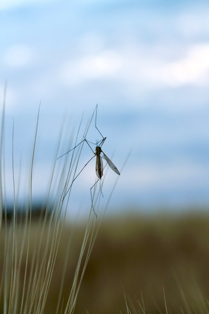 Photograph by Nadezda Sarap