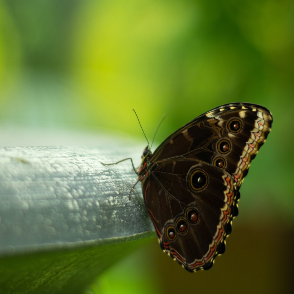 Photograph by Nadezda Sarap