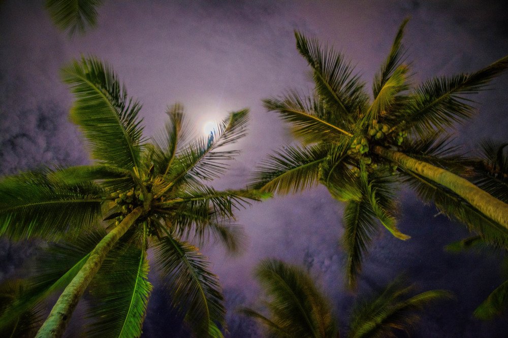 Photograph by Massimo Chiozzi