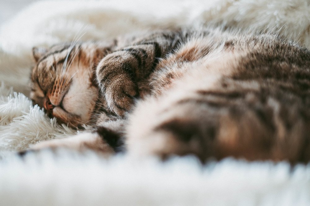 Photograph by Андрей Беляев