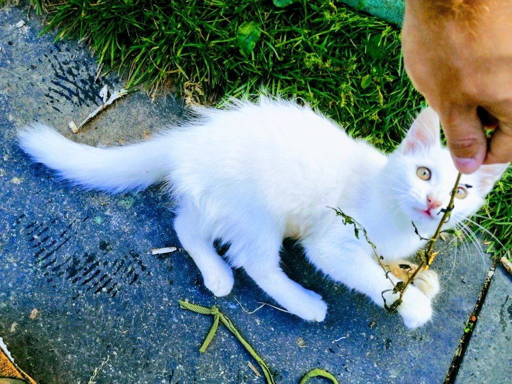 Photograph by Михаил Бородкин