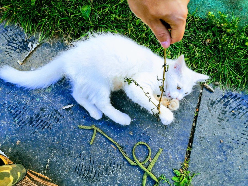 Photograph by Михаил Бородкин